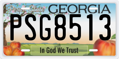 GA license plate PSG8513