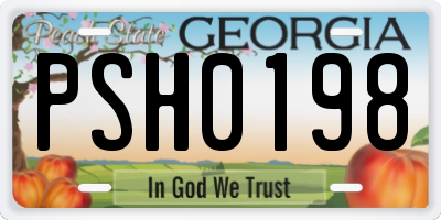 GA license plate PSH0198