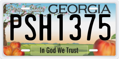 GA license plate PSH1375