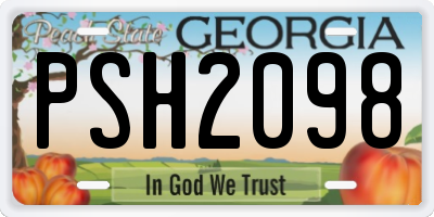 GA license plate PSH2098