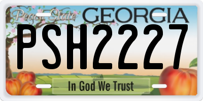 GA license plate PSH2227