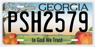 GA license plate PSH2579
