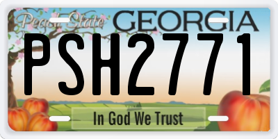 GA license plate PSH2771