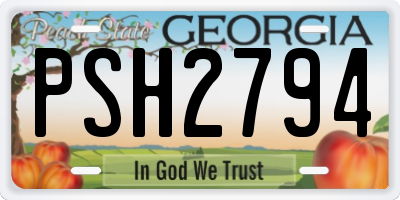 GA license plate PSH2794