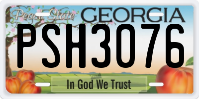 GA license plate PSH3076