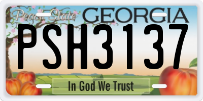GA license plate PSH3137