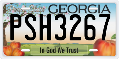 GA license plate PSH3267