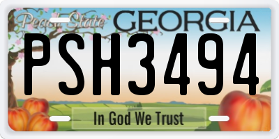 GA license plate PSH3494