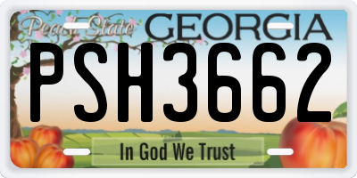 GA license plate PSH3662