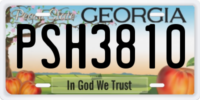 GA license plate PSH3810