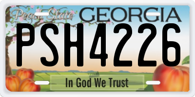GA license plate PSH4226