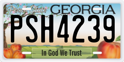 GA license plate PSH4239