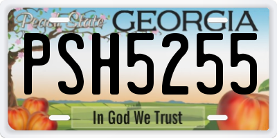GA license plate PSH5255