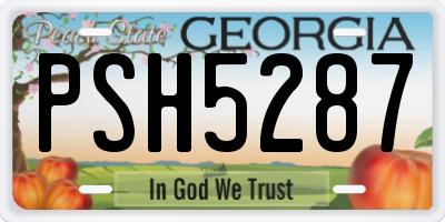 GA license plate PSH5287