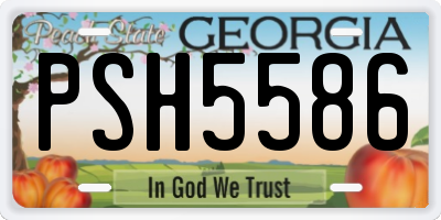GA license plate PSH5586