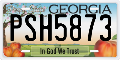 GA license plate PSH5873