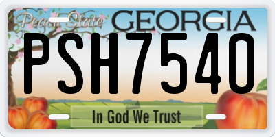 GA license plate PSH7540
