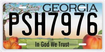 GA license plate PSH7976