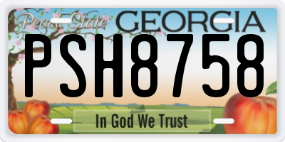 GA license plate PSH8758