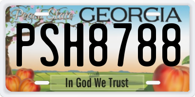 GA license plate PSH8788