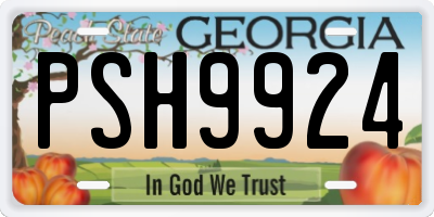 GA license plate PSH9924