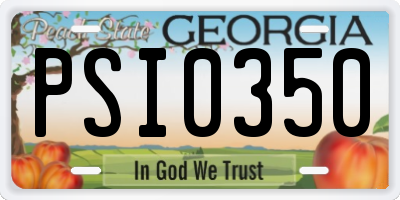 GA license plate PSI0350