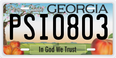 GA license plate PSI0803