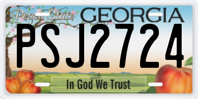 GA license plate PSJ2724