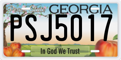 GA license plate PSJ5017