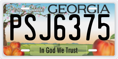 GA license plate PSJ6375