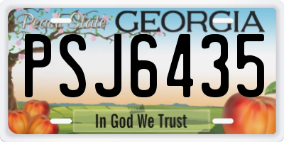 GA license plate PSJ6435