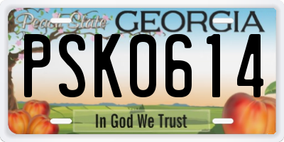 GA license plate PSK0614
