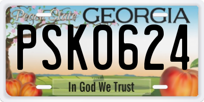 GA license plate PSK0624