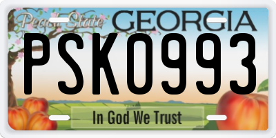 GA license plate PSK0993