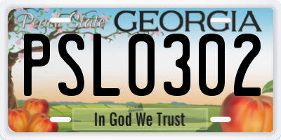 GA license plate PSL0302