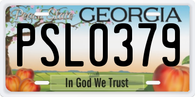 GA license plate PSL0379