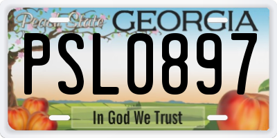 GA license plate PSL0897