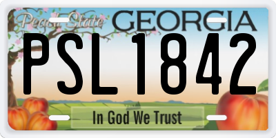 GA license plate PSL1842
