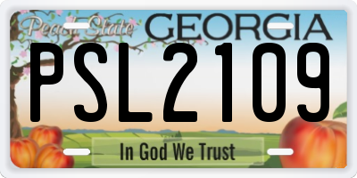 GA license plate PSL2109