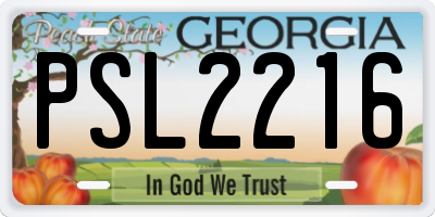 GA license plate PSL2216