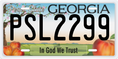 GA license plate PSL2299