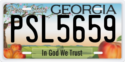 GA license plate PSL5659