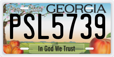 GA license plate PSL5739