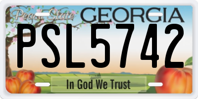 GA license plate PSL5742