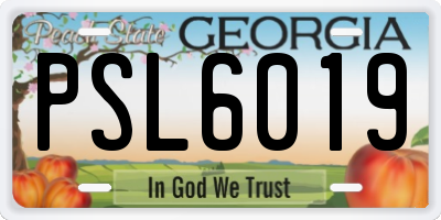 GA license plate PSL6019