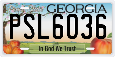 GA license plate PSL6036