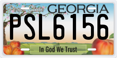 GA license plate PSL6156