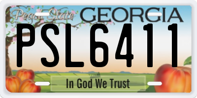 GA license plate PSL6411