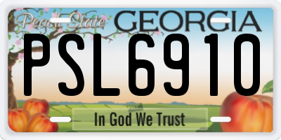 GA license plate PSL6910