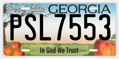 GA license plate PSL7553